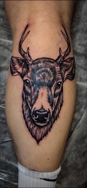 Majestic Stag Deer Black & Grey