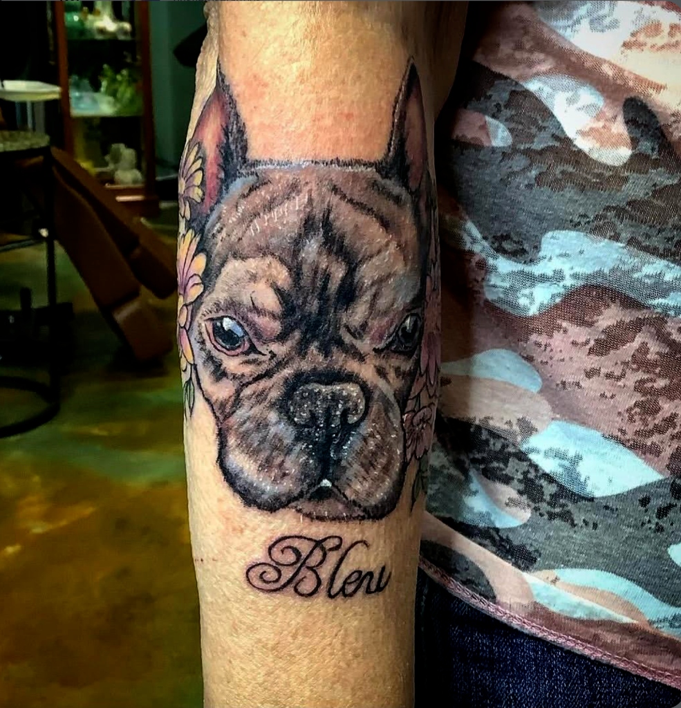 French Bulldog Pet Portrait ("Bleu")